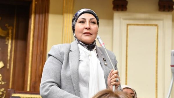 النائبة هالة أبو السعد: أرفض إطلاق لقب "خادمة" ويجب استبداله لمديرة المنزل