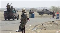 نجاة مسؤول أممي في انفجار لغم بالحديدة اليمنية