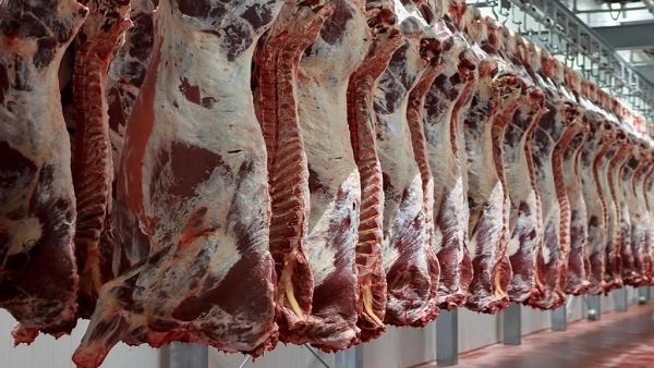 أسعار اللحوم البلدي والضاني اليوم الاثنين 25-3-2024 في الأسواق ومحال الجزارة بقنا