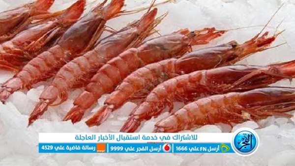 أسعار الجمبري والكابوريا اليوم السبت 4-5-2024 في محافظة قنا