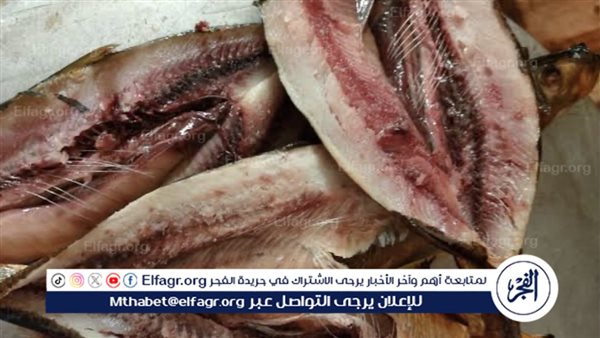 استعدادات لعيد الفطر.. مراجعة أسعار الأسماك المملحة قبل نهاية رمضان