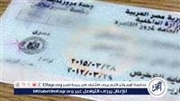 تكلفة ترخيص سيارة ملاكي في مصر لعام 2024 والإجراءات المطلوبة 