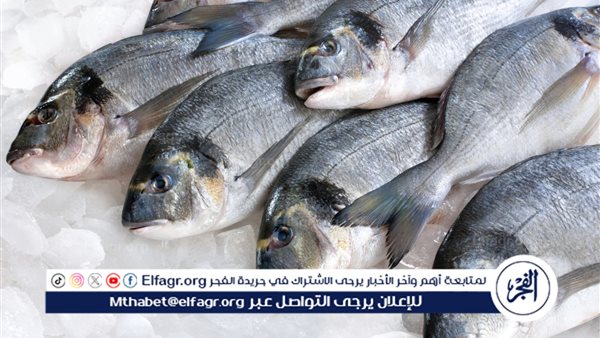 انخفاض ضخم.. أحمد موسى يكشف تفاصيل مقاطعة السمك في بورسعيد (فيديو)