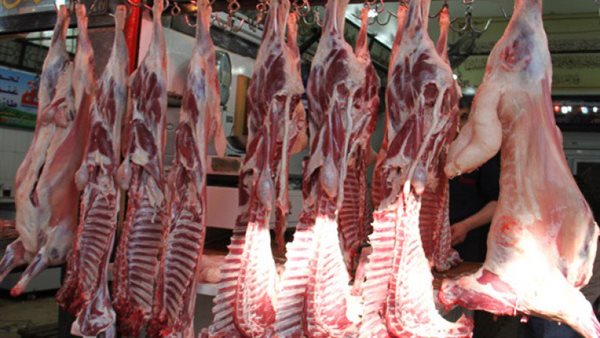 أسعار اللحوم البلدي والضاني اليوم الثلاثاء 21-5-2024 في الأسواق ومحال الجزارة بقنا